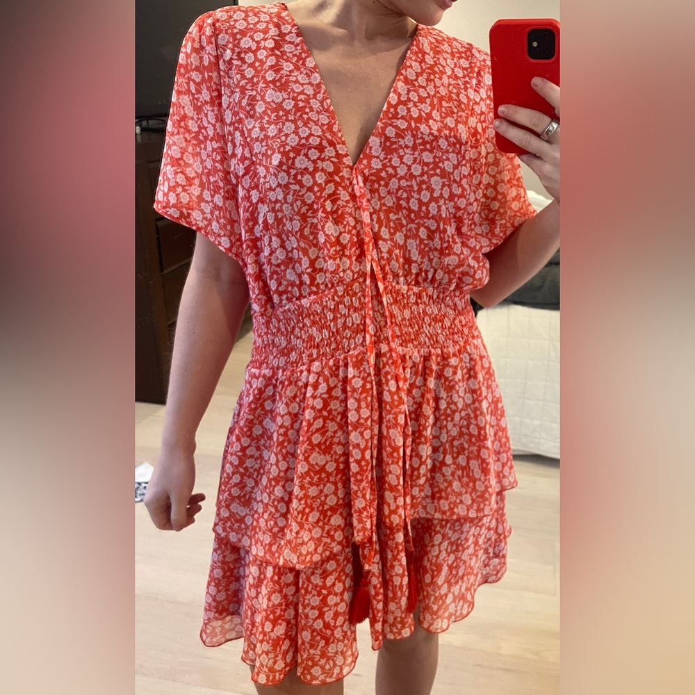 Zara Ruffled Printed Mini Dress - Picture 4 of 6